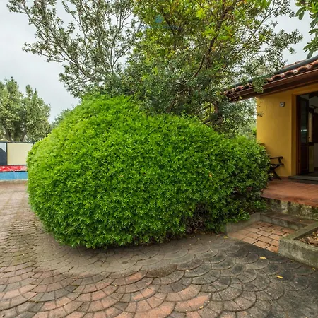 Locandiere Suite-house Live Express Pensjonat